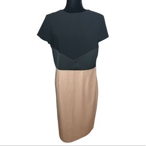 Brooks Brothers Tan and Black Midi Dress Size 8